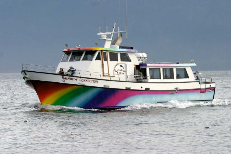 homer boat tours